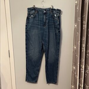 American Eagle Outfitters High Rise Blue Jeans